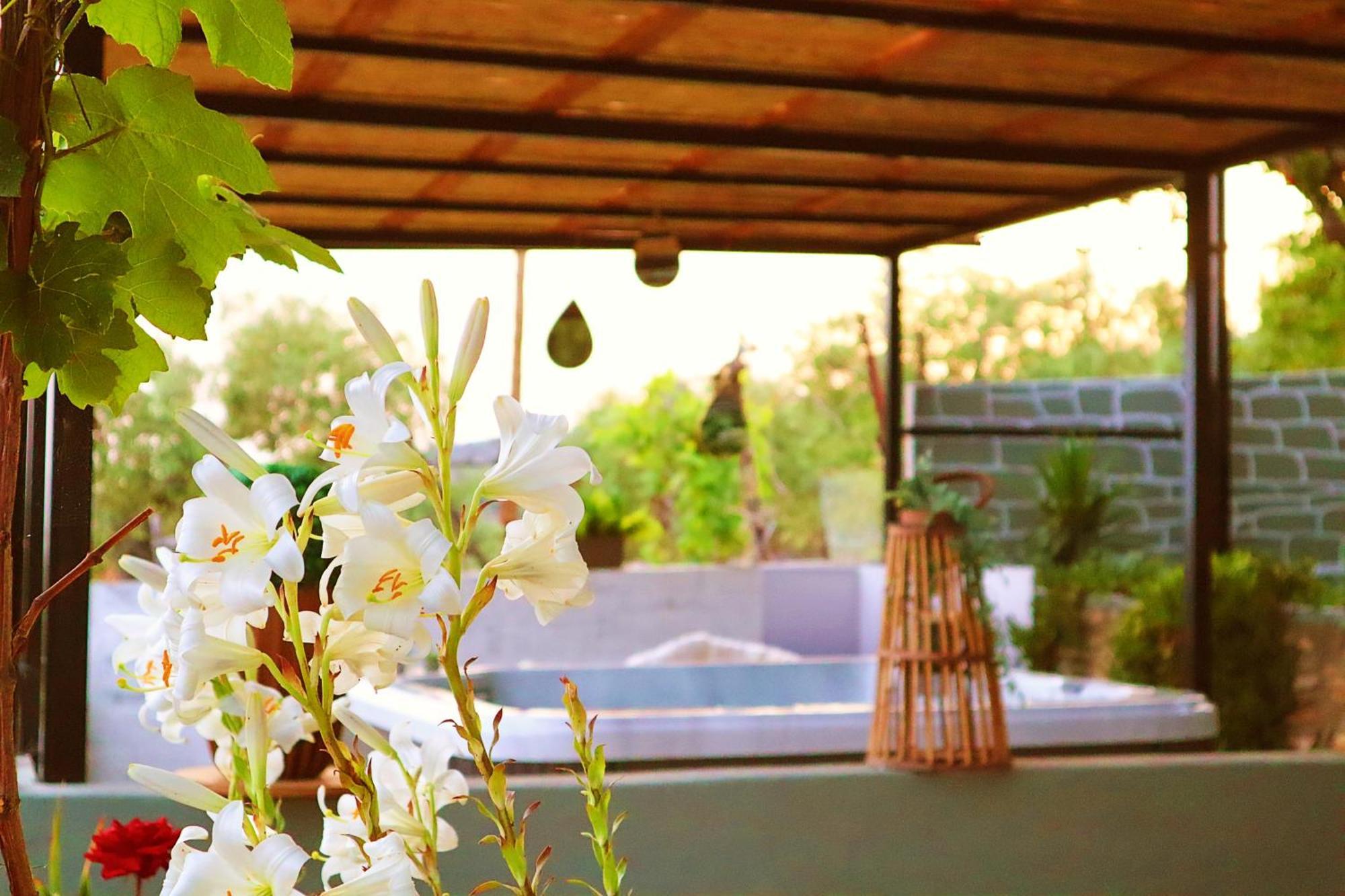 Thassion-Ikea Feels Like Home أستريس المظهر الخارجي الصورة